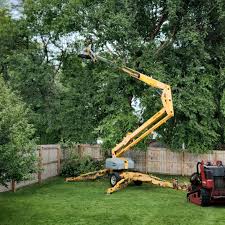 Best Fruit Tree Pruning  in Berwick, LA